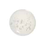 Atomy Absolute CellActive Ampul - Görsel 5